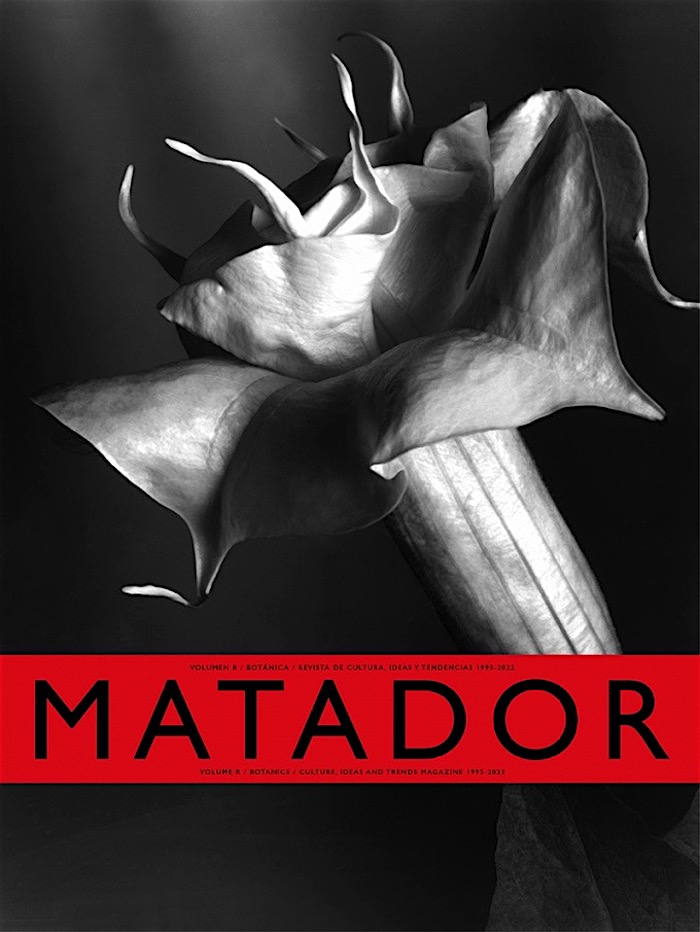 matador.jpg